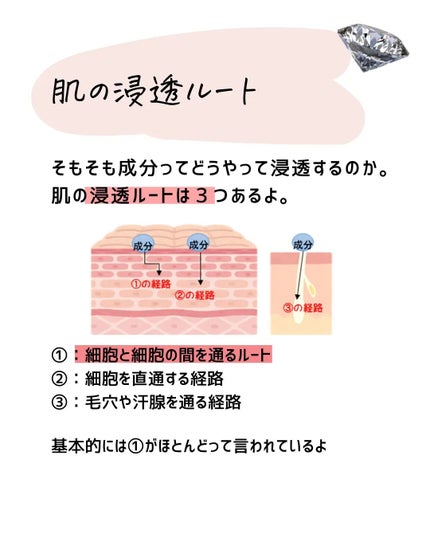 とまと村長@化粧品研究者 on LIPS 「化粧品研究者のとまと村長です🍅今回は化粧品を語る上で大切な「浸..」(6枚目)