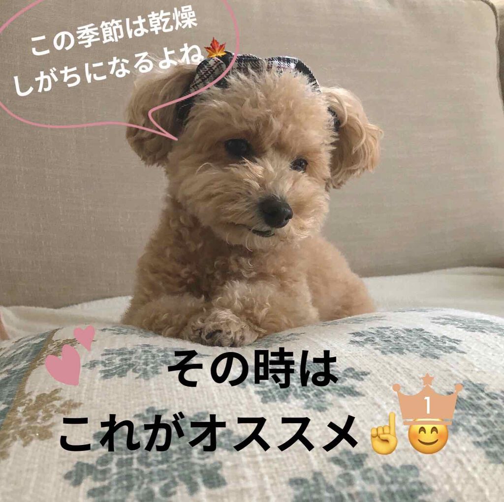 スチーマーナノケア EH-SA3A/Panasonic/美顔器・マッサージを使ったクチコミ(1枚目)