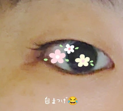 アイラッシュ SAEKOプロデュースライン/ミッシュブルーミン/つけまつげを使ったクチコミ(3枚目)