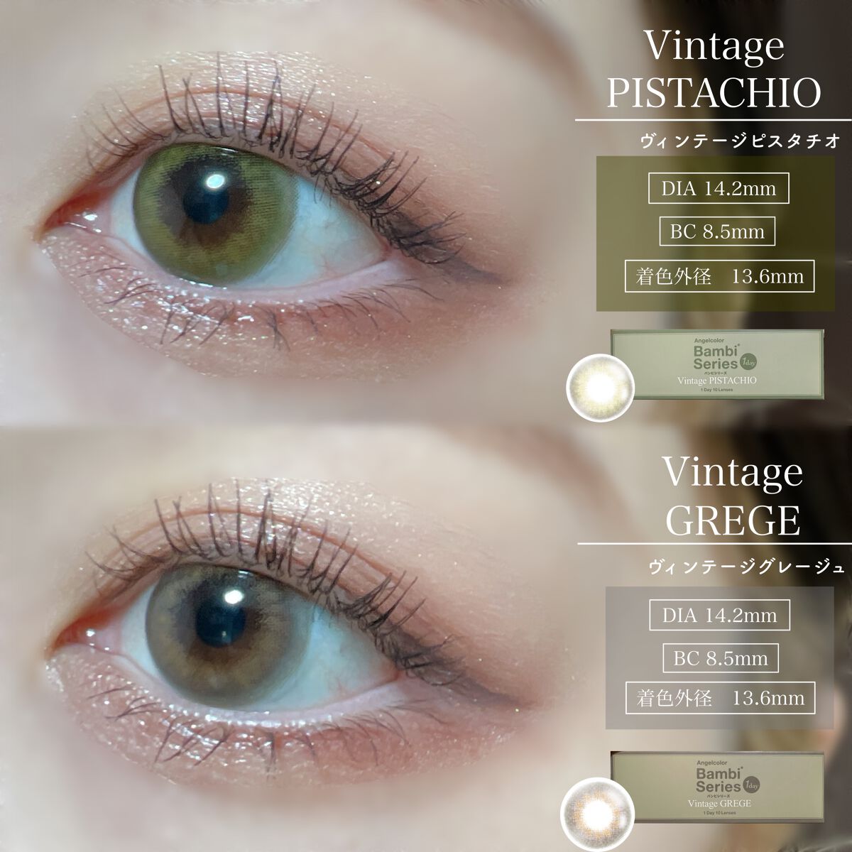 Angelcolor Bambi Series Vintage 1day/AngelColor/ワンデー(1DAY)カラコンを使ったクチコミ(2枚目)