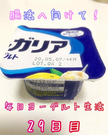 明治 明治ブルガリアヨーグルト朝のフルーツミックスのクチコミ「こんばんは！マツモトです🥺

腸活改善のため、毎日ヨーグルト摂取中です。

29日目のヨーグル.....」（1枚目）