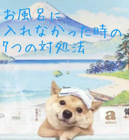 除菌EX グリーンハーブの香り/リセッシュ/ファブリックミストを使ったクチコミ(1枚目)