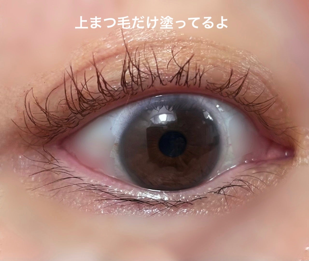 「塗るつけまつげ」自まつげ際立てタイプ/デジャヴュ/マスカラを使ったクチコミ(7枚目)