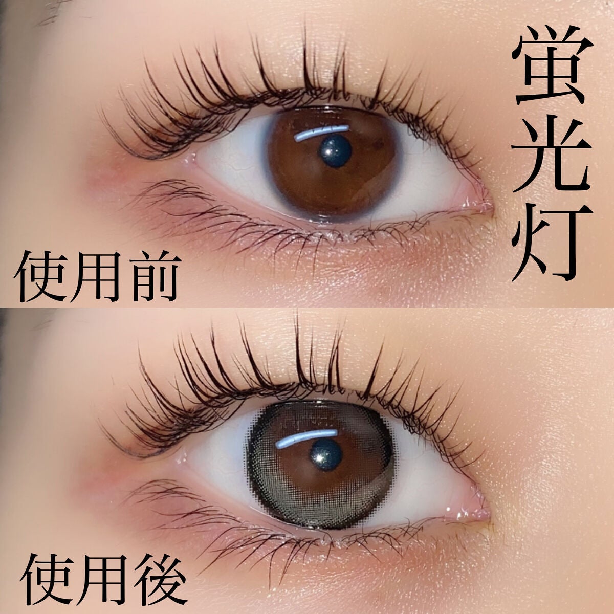 Secretive Kristen/Hapa kristin/カラーコンタクトレンズを使ったクチコミ(5枚目)