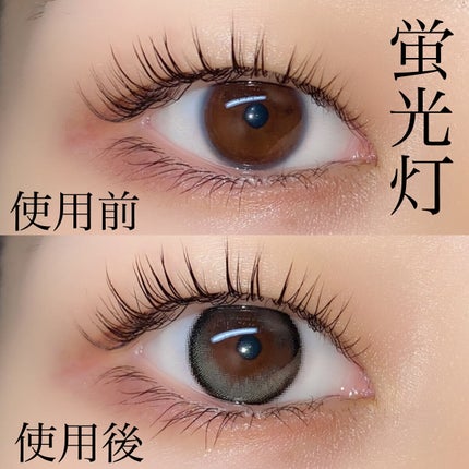 Secretive Kristen/Hapa kristin/カラーコンタクトレンズを使ったクチコミ(5枚目)