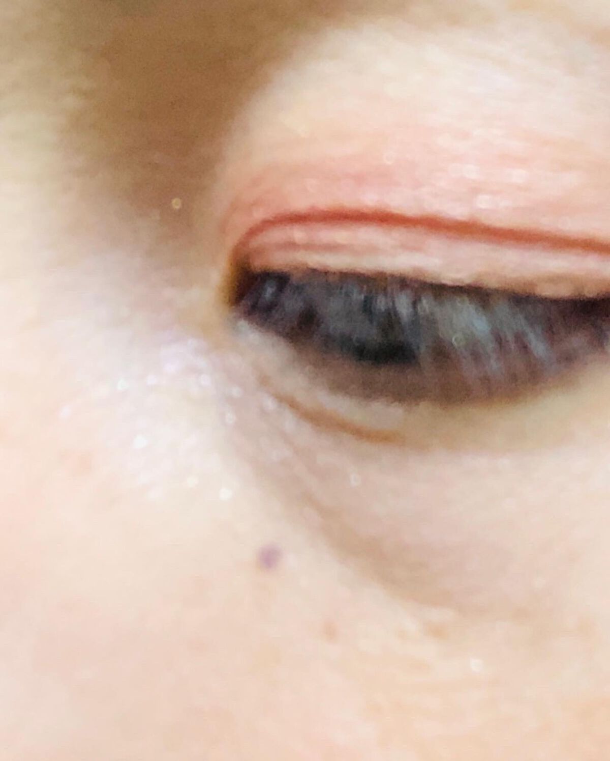 アイシャドウパレット/Kirei&co./アイシャドウパレットを使ったクチコミ(5枚目)