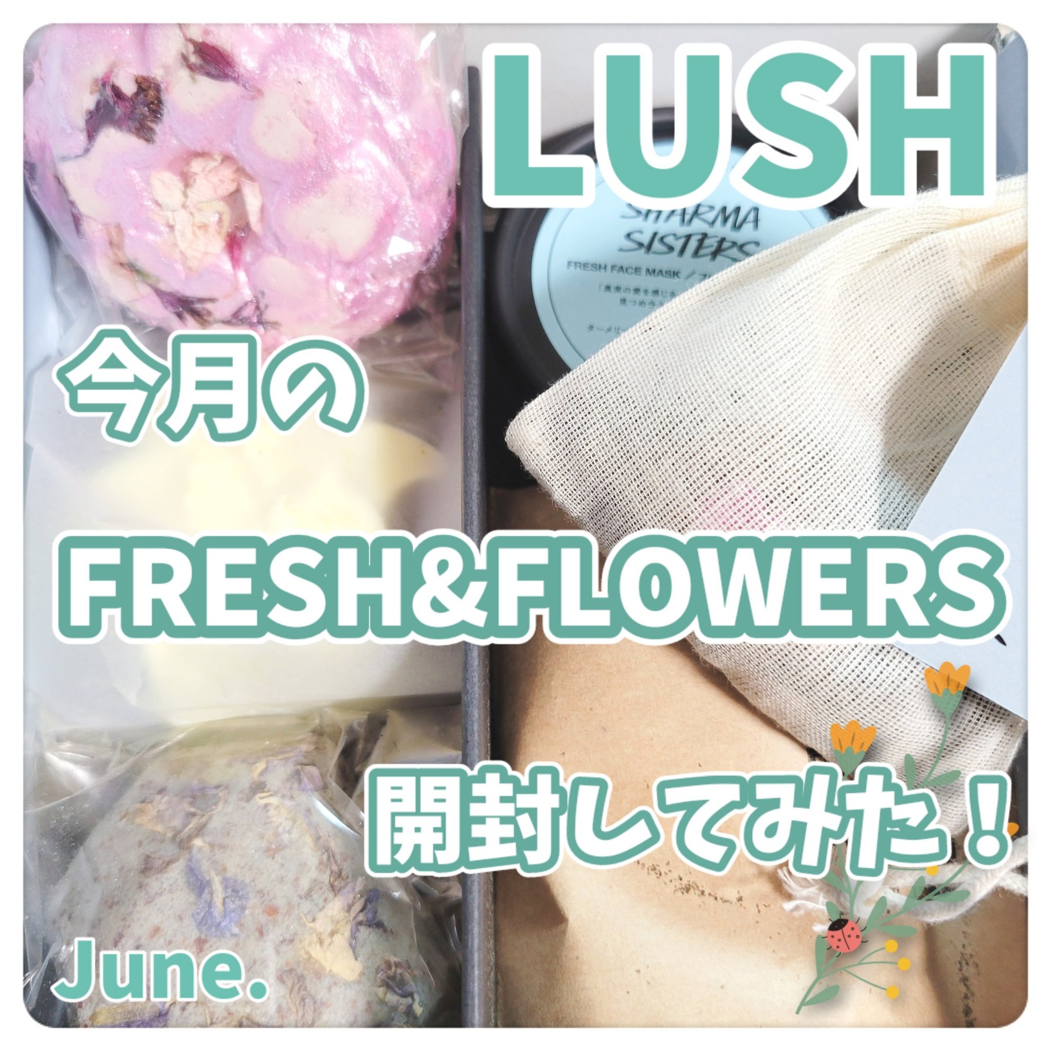 試してみた】ラッシュ Fresh ＆ Flowers サブスクリプションの
