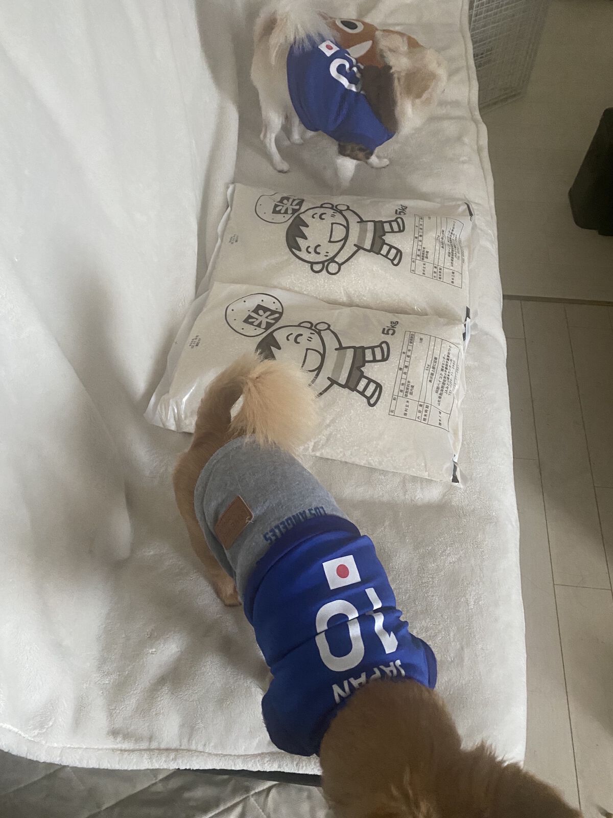 白米 / 阿部ベイコク