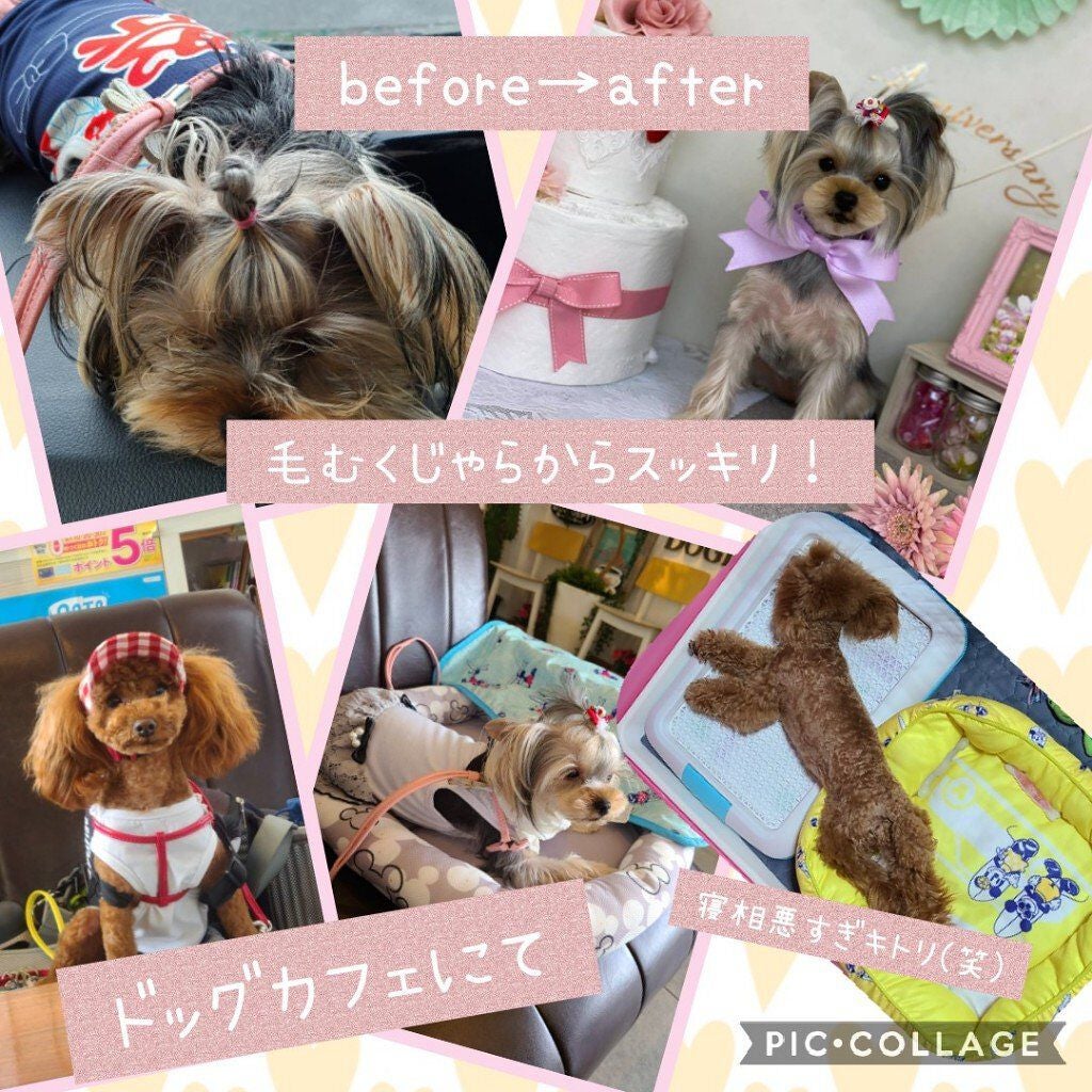 ジェルネイル/ジェルミーワン/ジェルネイルを使ったクチコミ(4枚目)