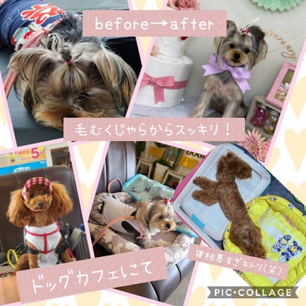 ジェルネイル/ジェルミーワン/ジェルネイルを使ったクチコミ(4枚目)