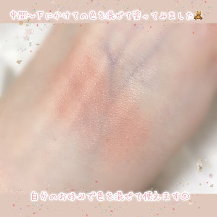 サーカスシリーズ グラデーションブラッシュ /FlowerKnows/パウダーチークを使ったクチコミ(4枚目)