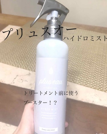 ハイドロミストN/plus eau/アウトバストリートメントを使ったクチコミ（1枚目）