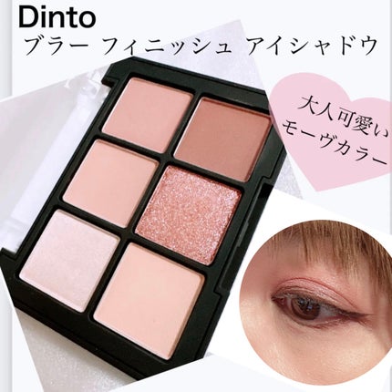 ブラーフィニシュシャドウパレット/Dinto/アイシャドウパレットを使ったクチコミ(1枚目)