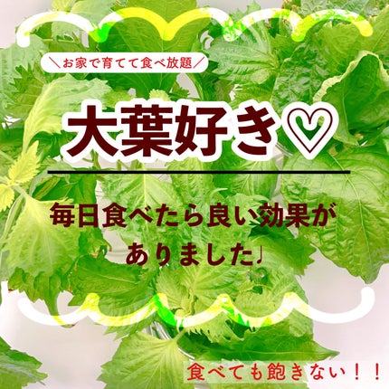 ã䜿ã£ãã¯ãã³ãïŒ1æç®ïŒ