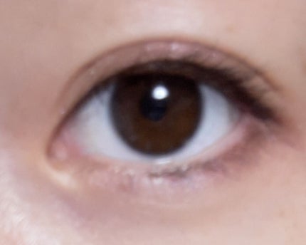 スキニーリッチシャドウ/excel/アイシャドウパレットを使ったクチコミ(2枚目)