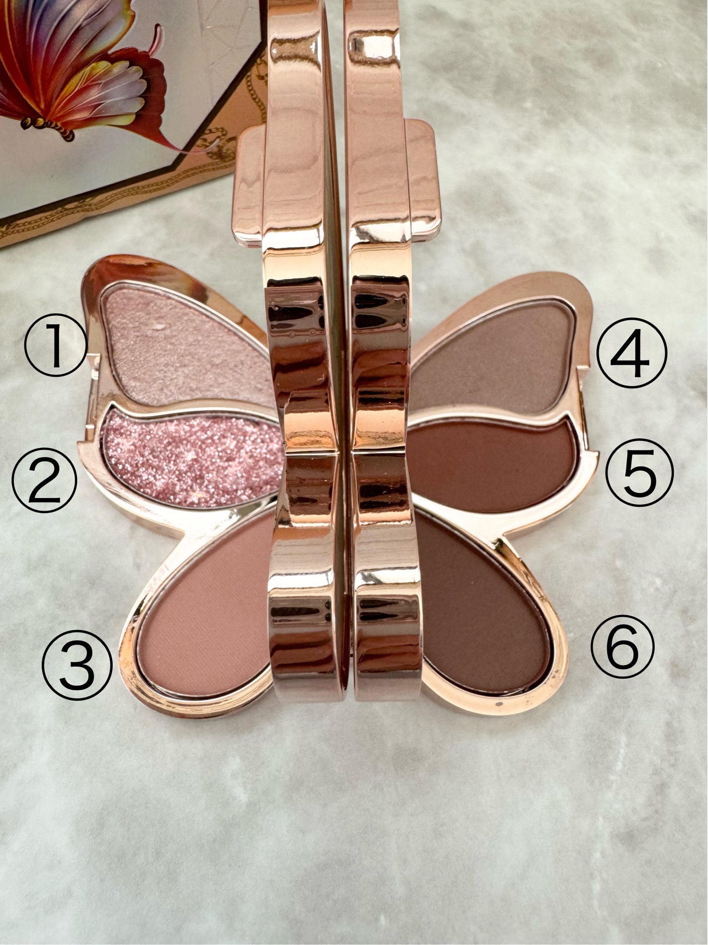 バタフライアイシャドウパレット/AGAG/アイシャドウパレットを使ったクチコミ(2枚目)