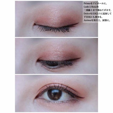 The Bella collection eyeshadow palette/CELEFIT/パウダーアイシャドウを使ったクチコミ（3枚目）