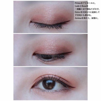 The Bella collection eyeshadow palette/CELEFIT/アイシャドウパレットを使ったクチコミ(3枚目)
