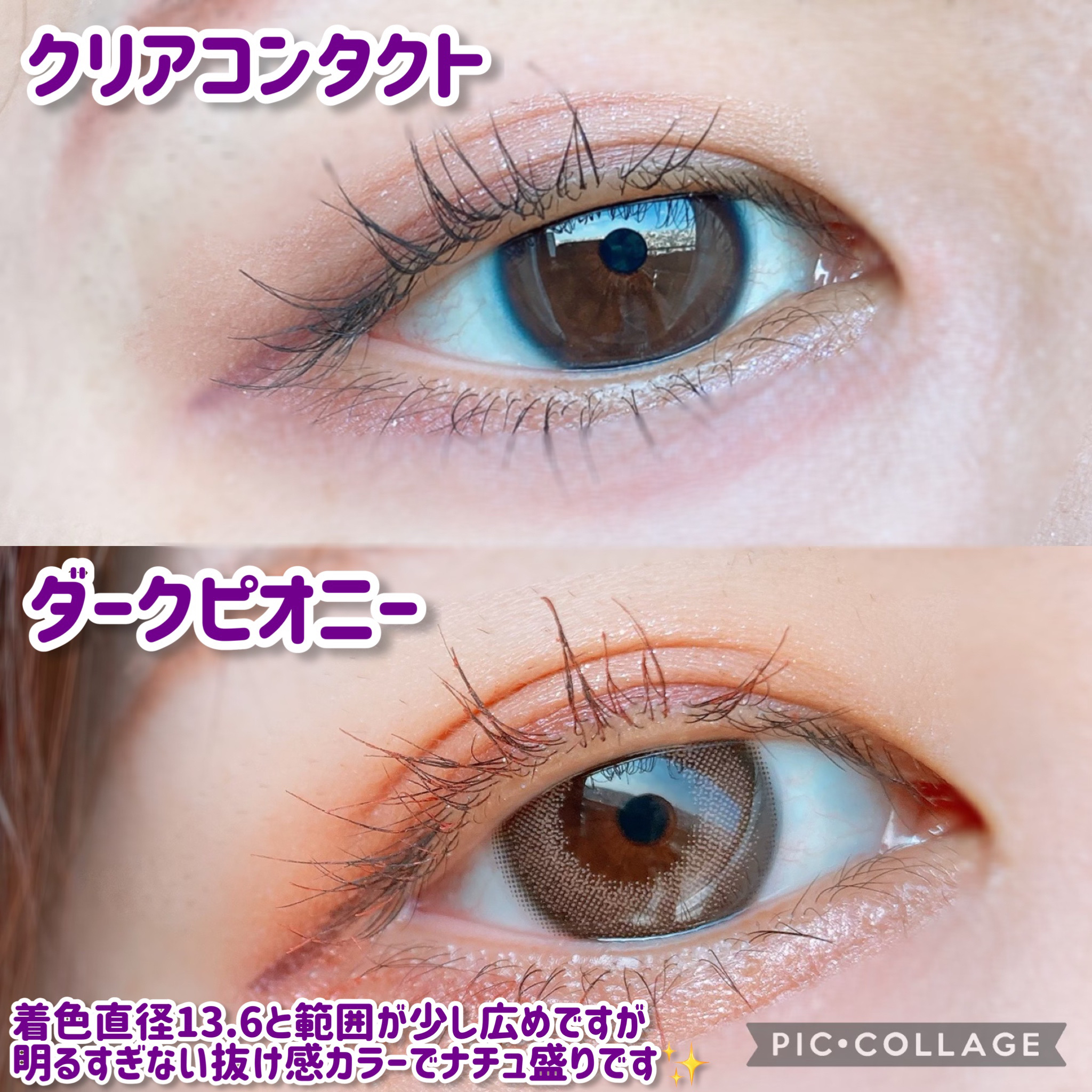MOLAK 1day ダークピオニー/MOLAK/ワンデー（１DAY）カラコンを使ったクチコミ（2枚目）