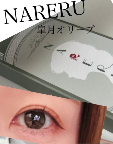 NARERU 1day 皐月オリーブ/NARERU/ワンデー（１DAY）カラコンの画像