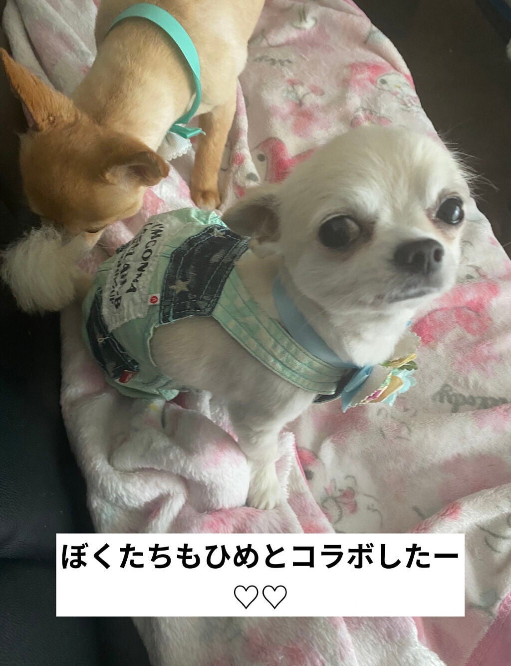 アイ カラー クォード/TOM FORD BEAUTY/アイシャドウパレットを使ったクチコミ(8枚目)