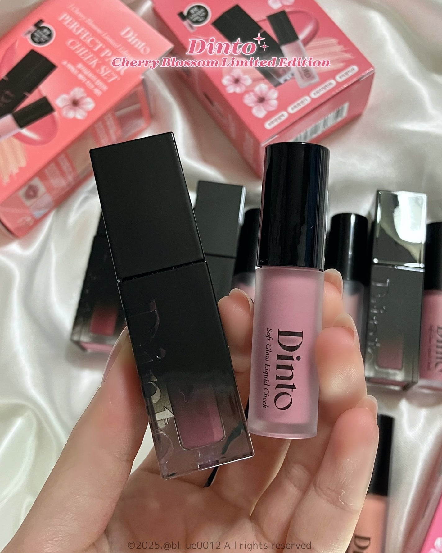 ブラーグロイリップティント/Dinto/リップティントを使ったクチコミ(7枚目)