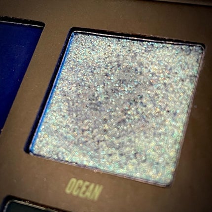 WILDERNESS PALETTE/BEAUTYBAY/アイシャドウパレットを使ったクチコミ(5枚目)