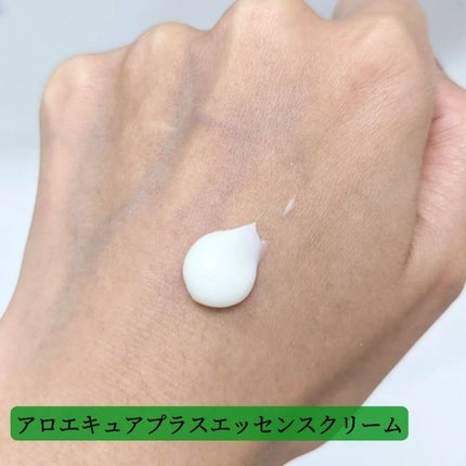 ã䜿ã£ãã¯ãã³ãïŒ2æç®ïŒ