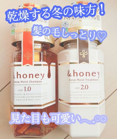 ディープモイスト シャンプー1.0／ヘアトリートメント2.0/&honey/シャンプー・コンディショナーを使ったクチコミ（1枚目）