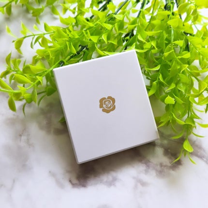 ステファニー サンブロック ルーセントパウダー Ⅲ/ステファニー/プレストパウダーを使ったクチコミ(3枚目)