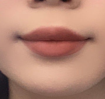 スーパーマットリップ&チークマッド EM09 セレブブラウン/INTO U/口紅を使ったクチコミ(2枚目)