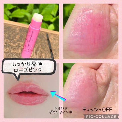 口紅がいらない薬用モイストリップ/メンターム/リップクリームを使ったクチコミ(3枚目)