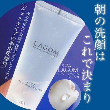 ラゴム ジェルトゥウォーター クレンザー(朝用洗顔)/LAGOM /洗顔フォームを使ったクチコミ（1枚目）