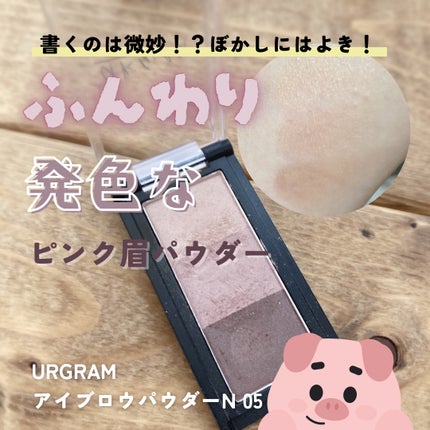 アイブロウパウダーN /U R GLAM/パウダーアイブロウを使ったクチコミ(1枚目)