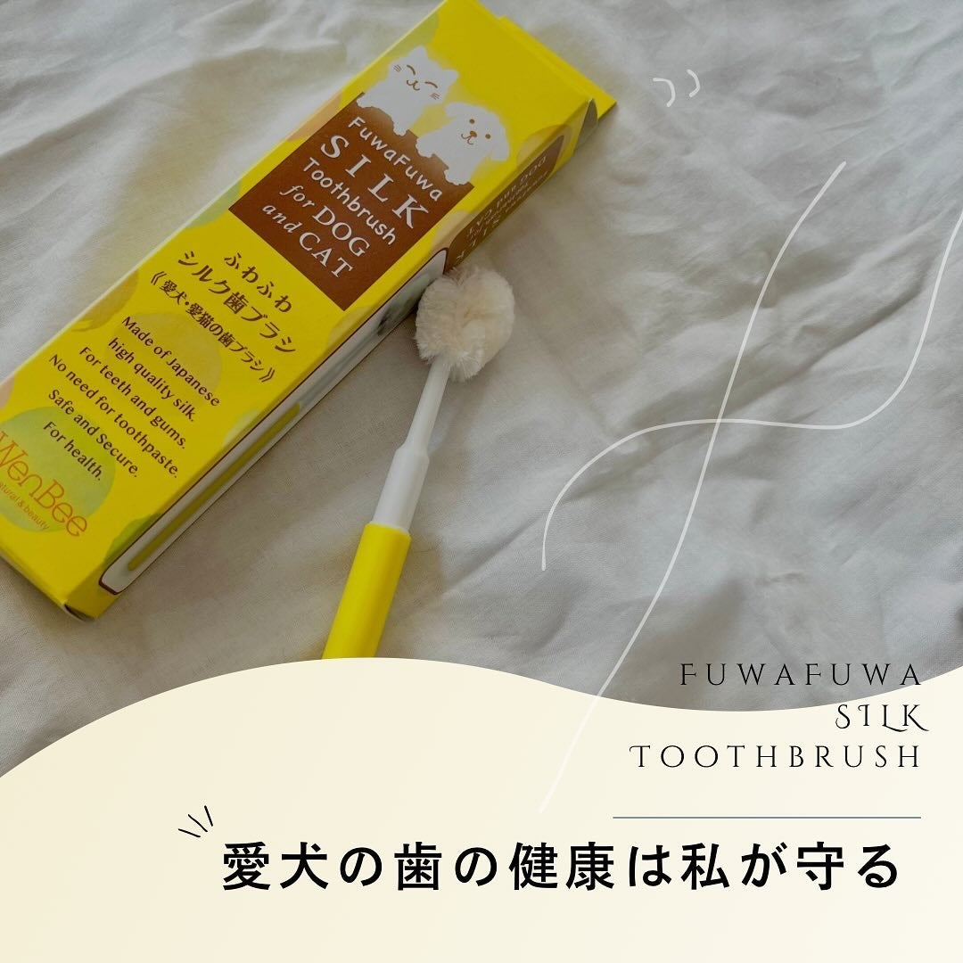 yu/フォロバ100コメ返100 on LIPS 「コエタスのモニターキャンペーンでもらったふわふわシルク歯ブラシ..」(2枚目)