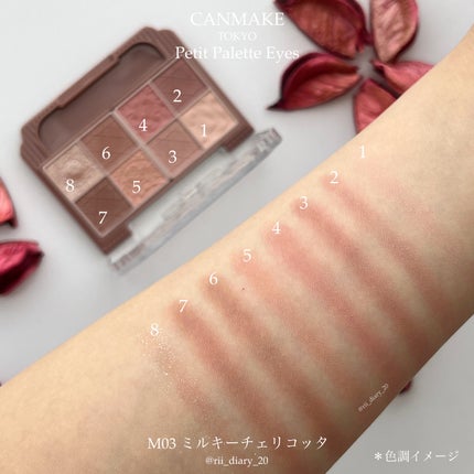 プティパレットアイズ(マットタイプ)/キャンメイク/パウダーアイシャドウを使ったクチコミ(3枚目)