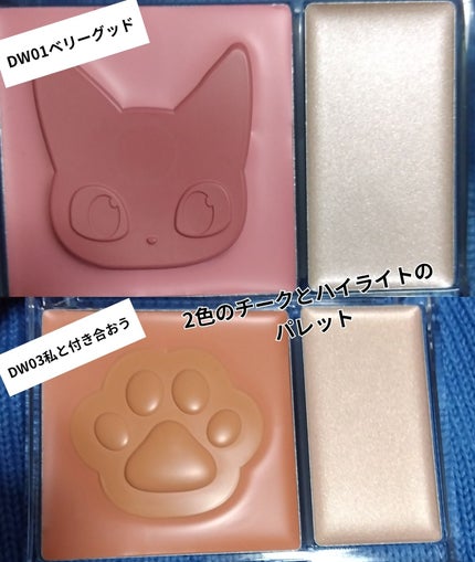 チュイリップグレイズ/BLACK ROUGE/リップグロスを使ったクチコミ(3枚目)