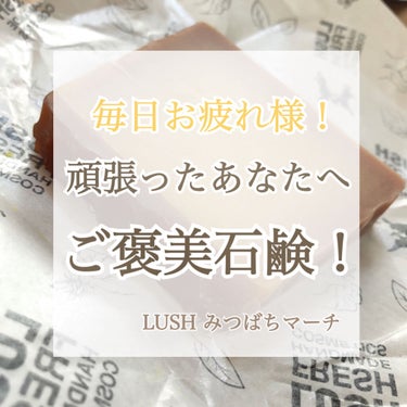 ☁️☁️☁️☁️☁️☁️☁️☁️☁️☁️☁️☁️☁️☁️☁️☁️


今回はLUSHのみつばちマーチの紹介をしていきたいと思います！



LUSHの石鹸の王道ですよね！！
いつか使ってみたいと思ってい