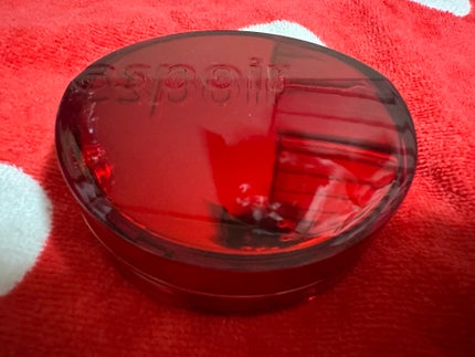 プロテーラービーベルベットカバークッション/espoir/クッションファンデーションを使ったクチコミ(2枚目)