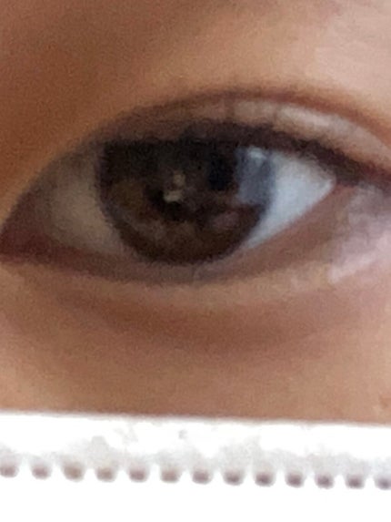 UR GLAM EYEBROW POWDER/U R GLAM/パウダーアイブロウを使ったクチコミ(1枚目)