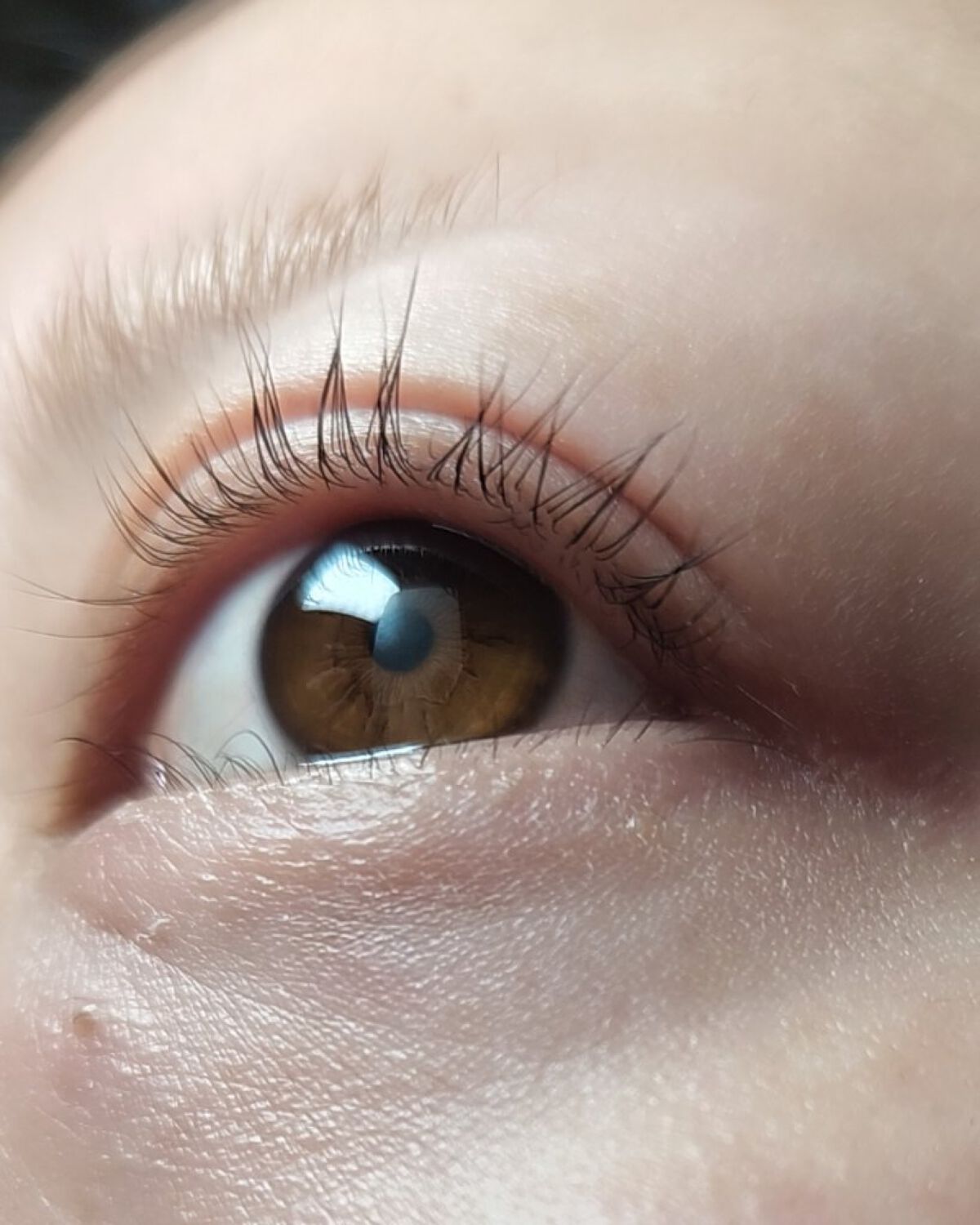 【新品未使用】リールロングラッシュパーマ MERYTHOD公式リールロングラッシュパーマ 韓国コスメ