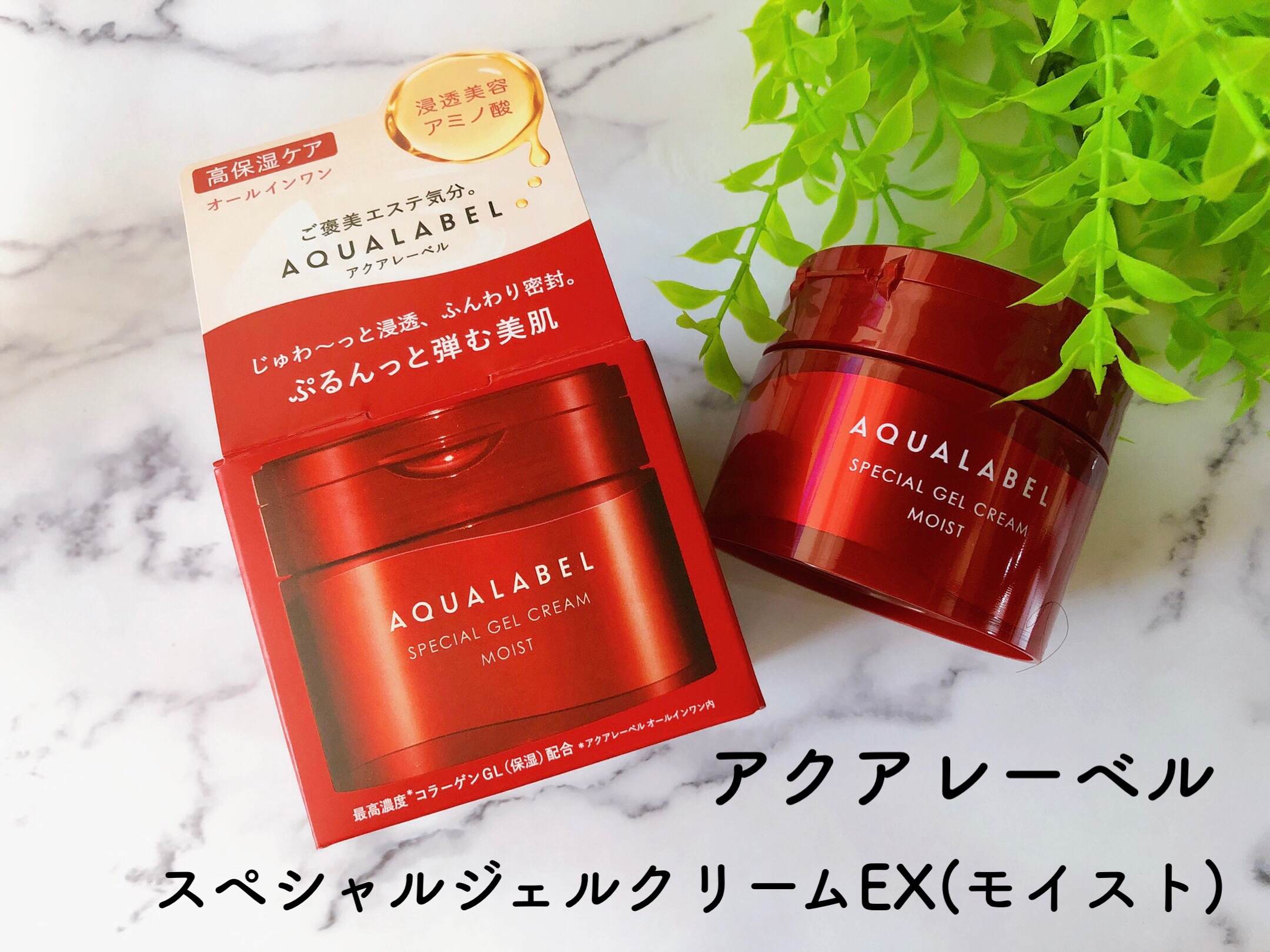 スペシャルジェルクリームN （モイスト） 90g/アクアレーベル/オールインワン化粧品を使ったクチコミ（2枚目）