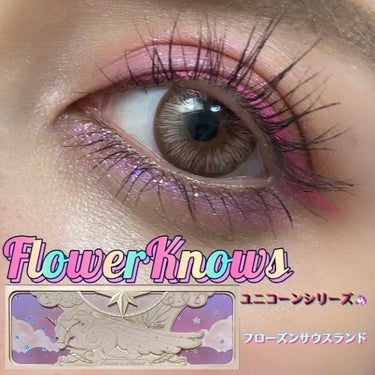 ユニコーンシリーズ アイシャドウパレット/FlowerKnows/アイシャドウパレットを使ったクチコミ（1枚目）