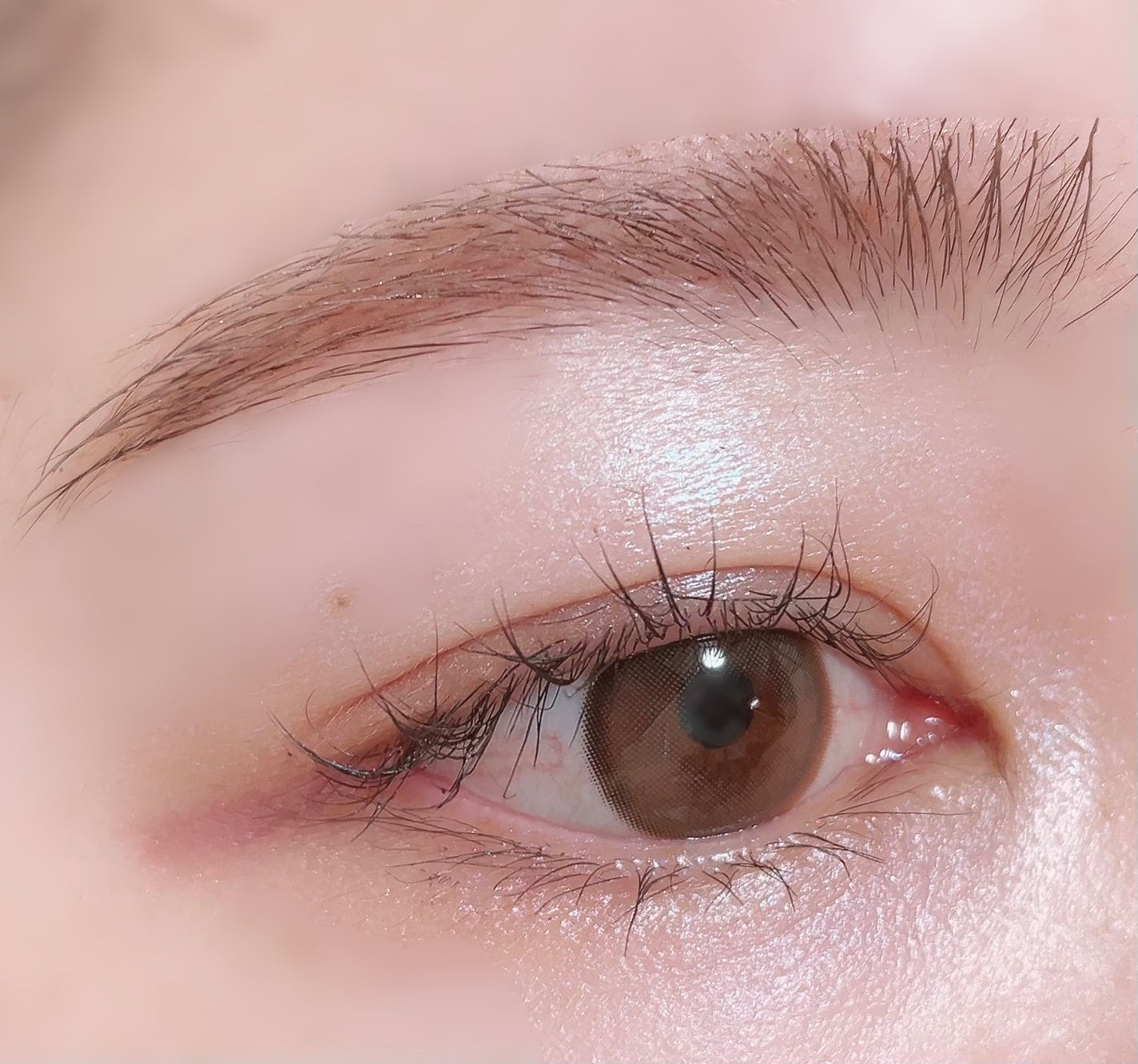 アヴァンセ アイブロウマスカラ&コート /アヴァンセ/眉マスカラを使ったクチコミ(3枚目)