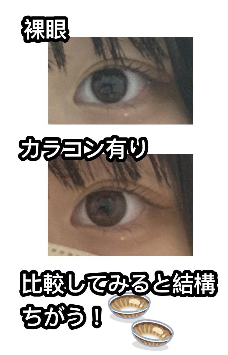 Flurry by colors 1day モカダークブラウン(うるうるチワワ)/Flurry by colors/ワンデー（１DAY）カラコンを使ったクチコミ（2枚目）