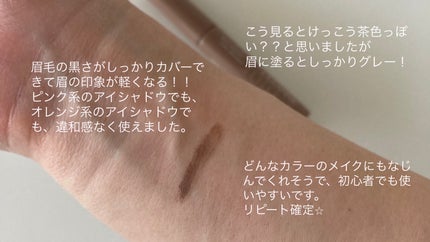 極細アイブロウマスカラ/CEZANNE/眉マスカラを使ったクチコミ(3枚目)