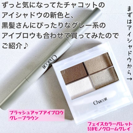 ブラッシュアップアイブロウ 242 グレーブラウン/チャコット・コスメティクス/アイブロウペンシルを使ったクチコミ(2枚目)