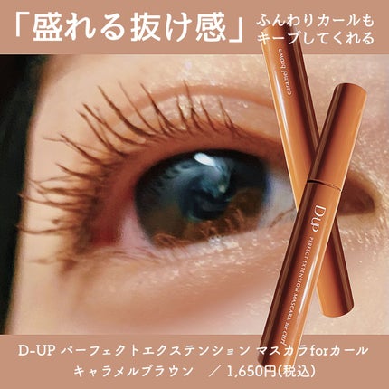 パーフェクトエクステンション マスカラ for カール/D-UP/マスカラを使ったクチコミ(1枚目)