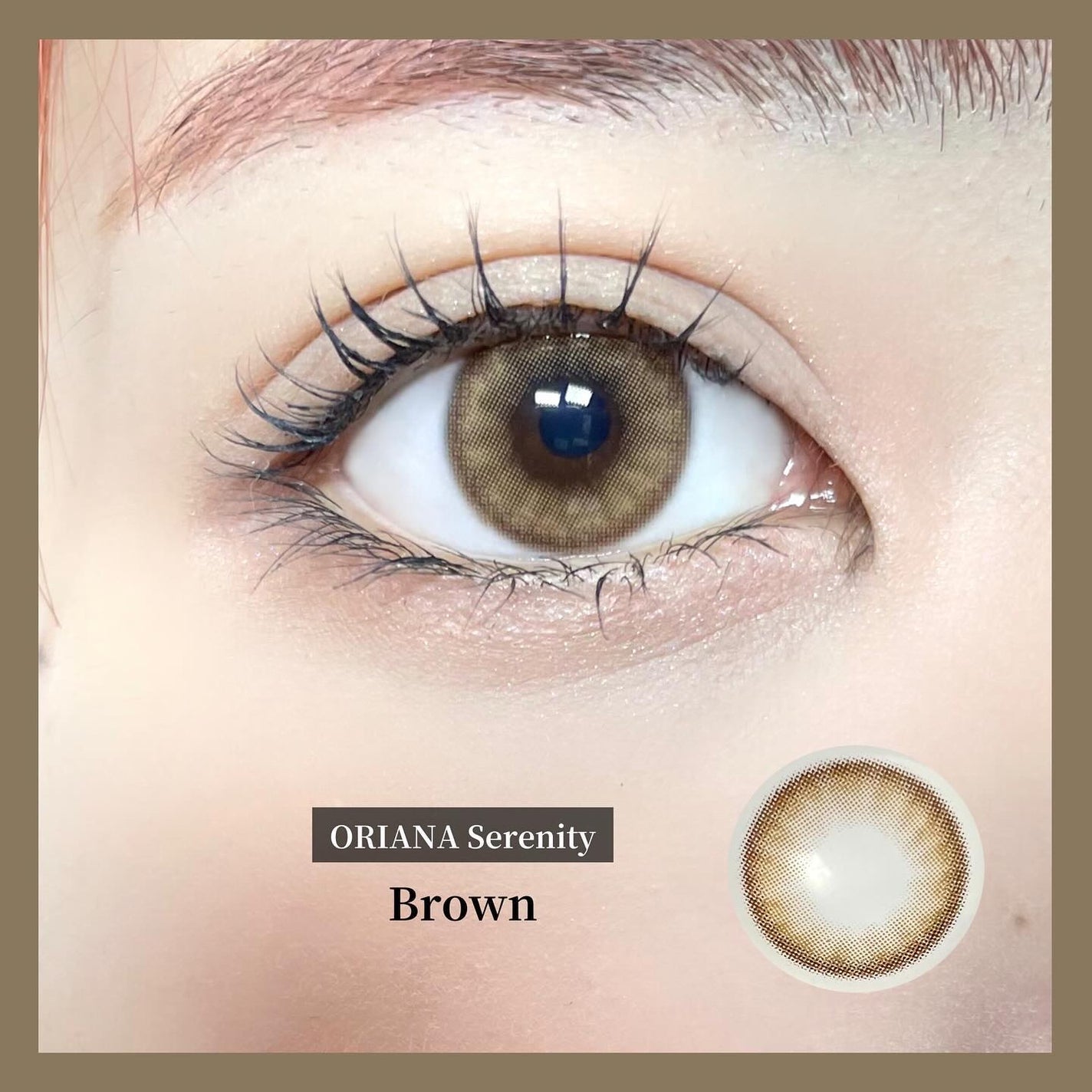 I-SHA ORIANA Serenity/蜜のレンズ/カラーコンタクトレンズを使ったクチコミ(2枚目)