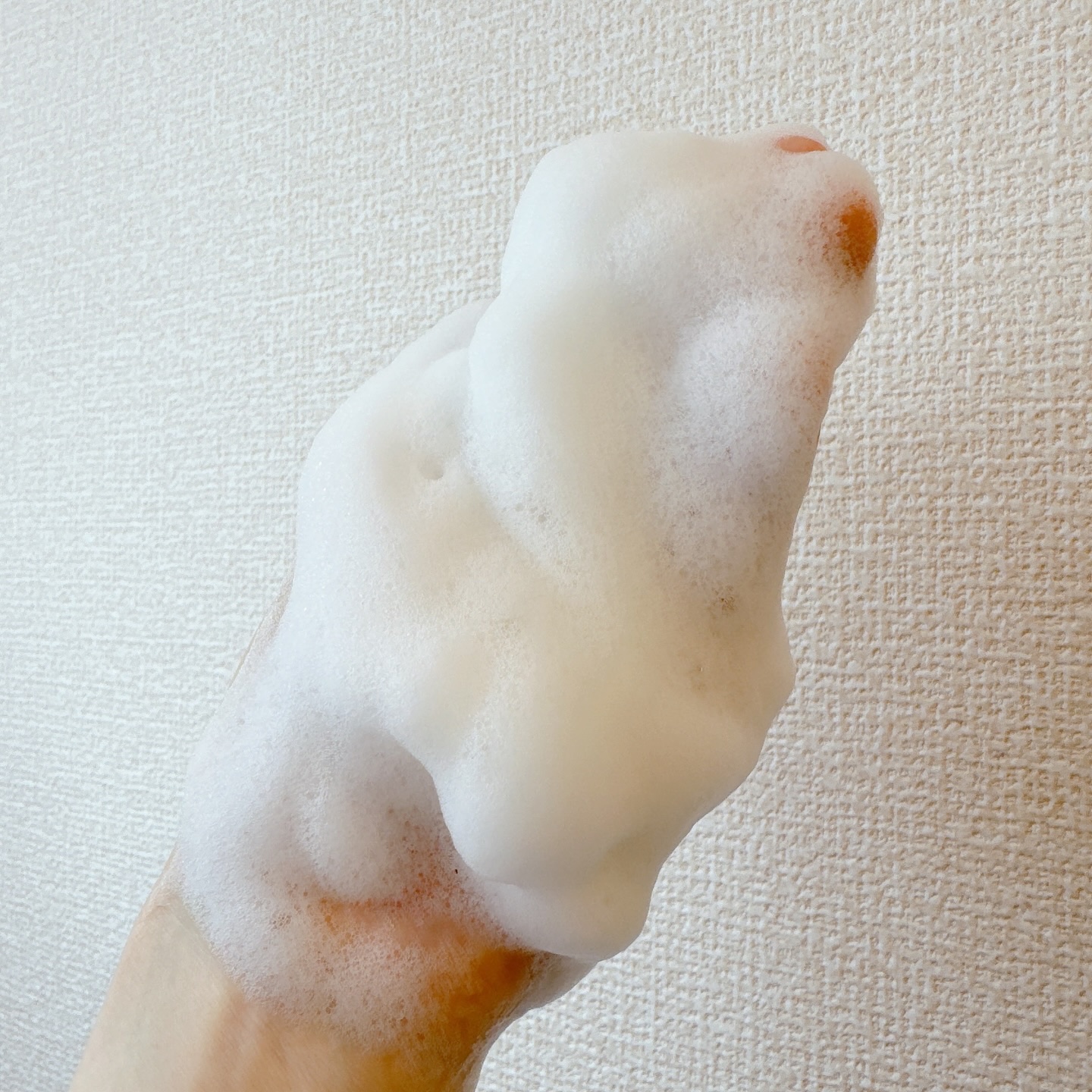 グリーンティー&エンザイムパウダーウォッシュ/By Wishtrend/洗顔パウダーを使ったクチコミ（3枚目）